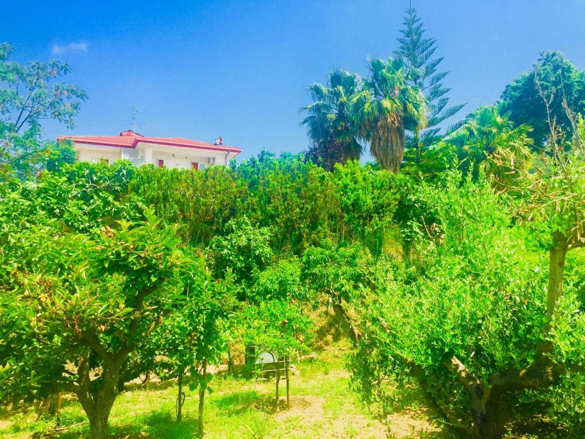 Montebianco B&B Faiano Bagian luar foto